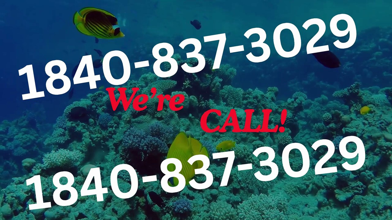 【HOW-TO-CONNECT】 ≋【Coinbase® {Help Desk Wallet SuppoRt}™ — Toll-Free Numbers & Support Options