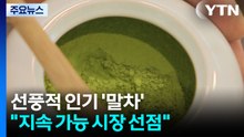 선풍적 인기 '가루 녹차'..."고품질 원료로 지속 가능 시장 선점" / YTN