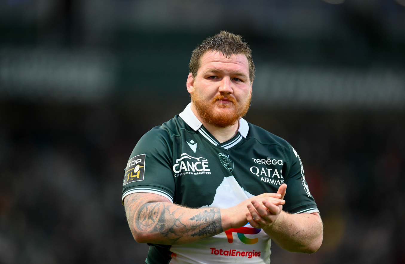 Challenge Cup : La Section Paloise éliminée par le Zebre de Parme