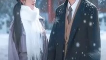 [SUB ESPAÑOL] Amor, como la primera nieve serie completa