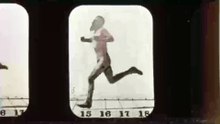Athlete Running 2 (1881) Eadweard Muybridge