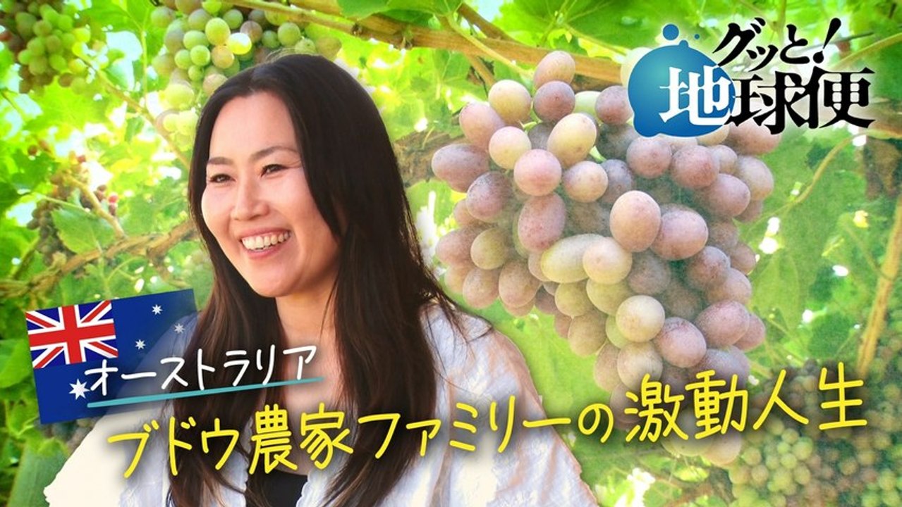 グッと！地球便 オーストラリアで突如ブドウ農家に転身した娘へ - 2026年04月05日