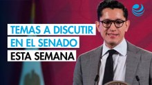 Senado prevé ratificar a nuevo titular de la SRE y discutir ley sobre feminicidio esta semana