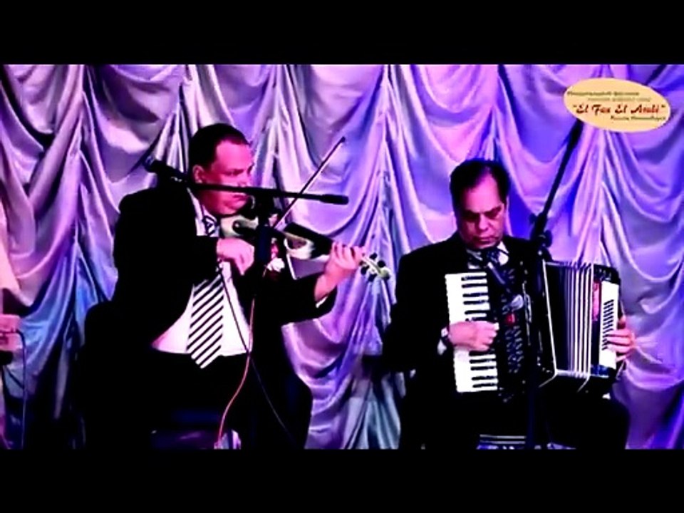 Belly Dance Magic ✨ | Beautiful Rhythmic Performance You Can’t Miss