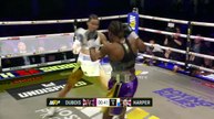 Caroline Dubois vs. Terri Harper (05-04-2026) Full Fight