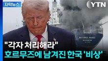 [자막뉴스] 호르무즈에 남겨진 한국 선박...알아서 처리하라는 트럼프 '비상' / YTN