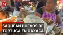 Graban a saqueadores de huevos de tortuga en Oaxaca