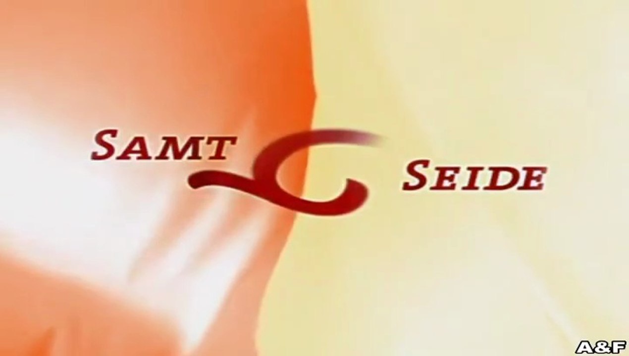 Samt.und.Seide -093- Glücksfälle