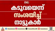 വയനാട് അട്ടമലയില്‍ പശുവിനെ വന്യജീവി ആക്രമിച്ച് കൊന്നു; കടുവയെന്ന് സംശയം
