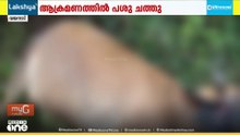 വയനാട് അട്ടമലയിൽ വന്യജീവി ആക്രമണം; പശുവിനെ കൊന്നത് കടുവയെന്ന് സംശയം