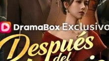 DespuéS Del Divorcio, Dominó El Juego - Completo