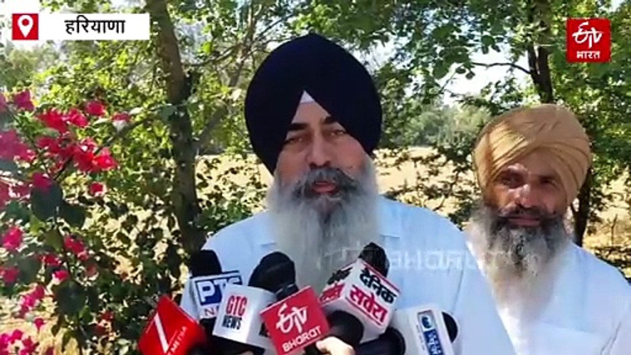 हरियाणा में बेमौसम बारिश और ओलावृष्टि ने छीनी किसानों की मुस्कान, सिरसा में गेहूं-सरसों की फसल बर्बाद