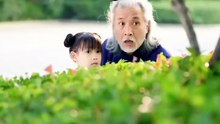 Part 1 《软糯奶团萌翻爹地》The adorable little dumpling melts Daddy's heart