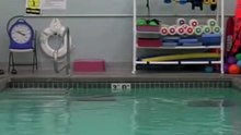 Aquatic exercise and how to perform it