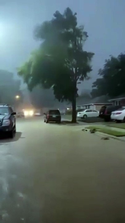 A strong lightning split a three in Islamabad