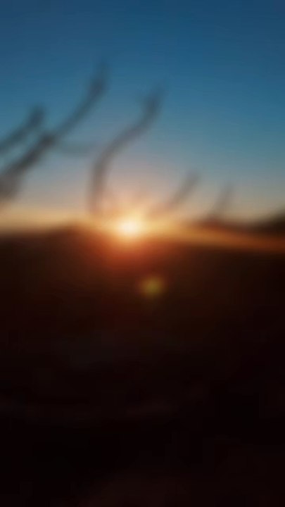 Tu n’as pas besoin d’être intact pour être éclairé. Même ce qui a survécu mérite la lumière. 🤍