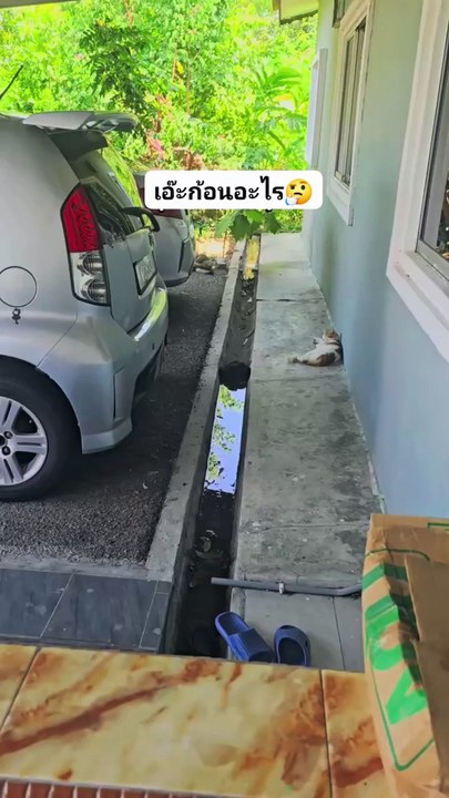 เอ๊ะ..ก้อนอะไรดำ ๆ ขวางทางน้ำ