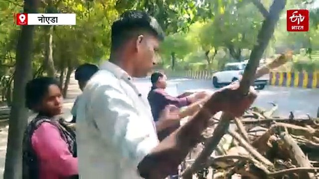नोएडा में LPG किल्लत: मुसीबत में मजदूर वर्ग, सिलेंडर न मिलने से बढ़ी परेशानी, लकड़ियां बीनकर जला रहे चूल्हा-देखें हालात