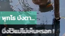 โกลเด้นรีทรีฟเวอร์ทำมึน ทำตัวนิ่ง ๆ แม่คงไม่เห็นหรอก