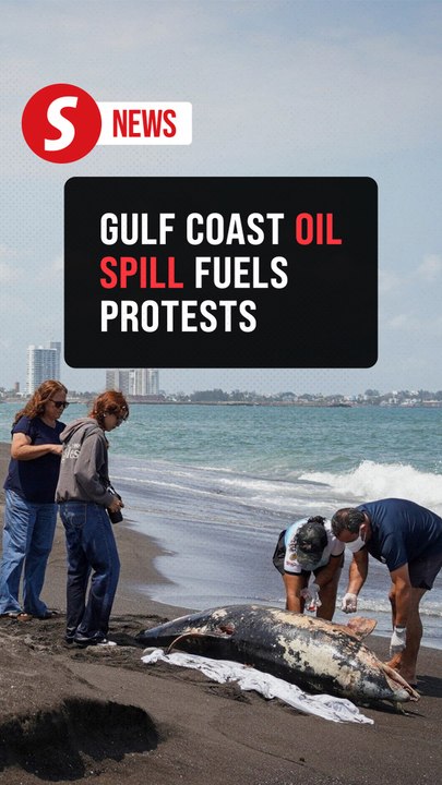 Mexicans protest oil spill affecting Gulf of Mexico coast