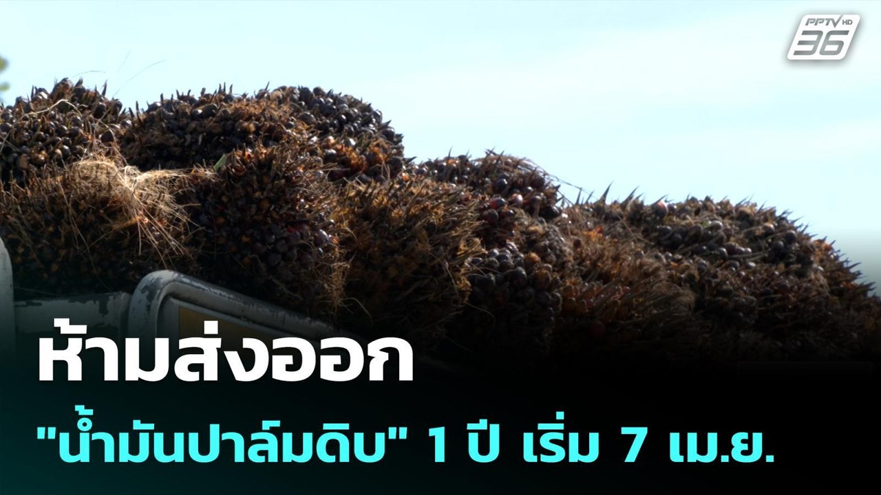 ห้ามส่งออก "น้ำมันปาล์มดิบ" 1 ปี เริ่ม 7 เม.ย.|...