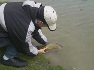 Remise à l'eau d'une belle bourriche