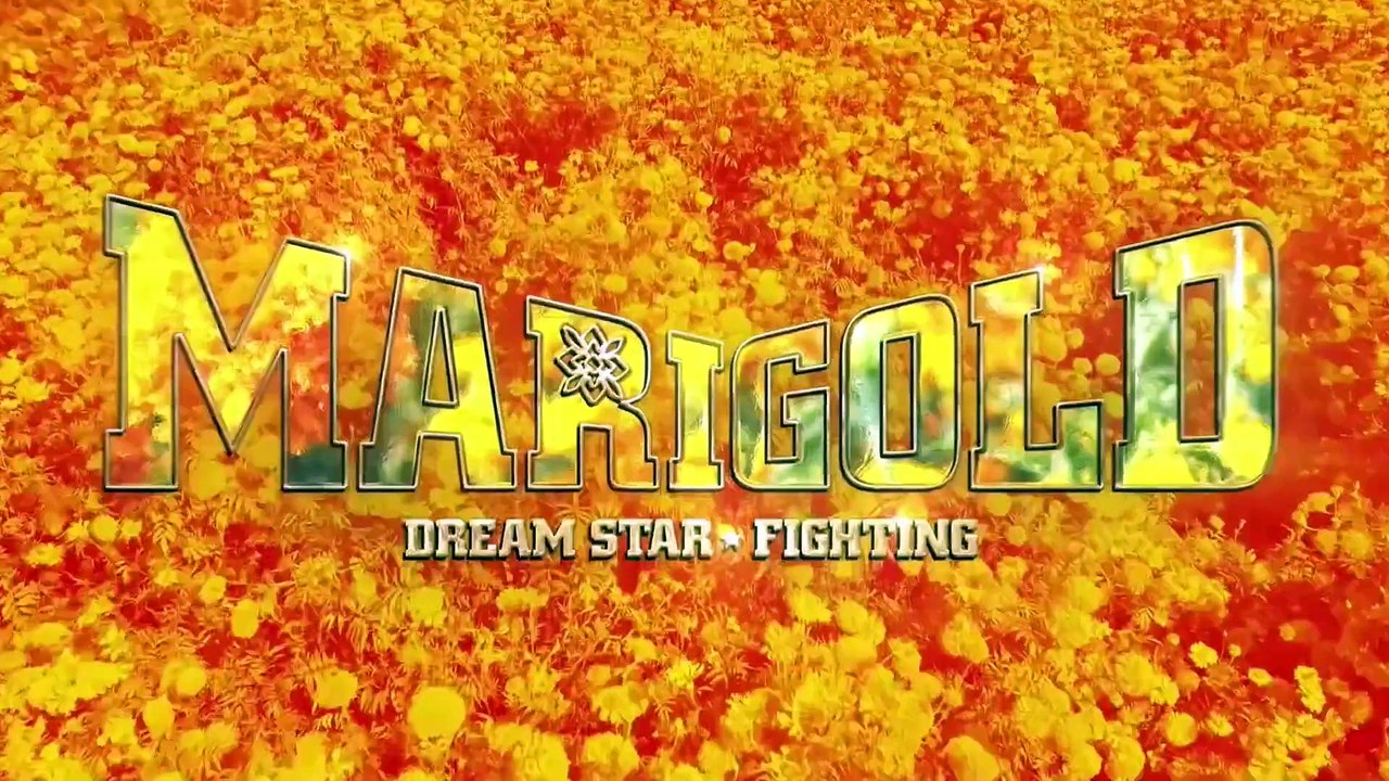 Nanae Takahashi vs. Mayu Iwatani (MARIGOLD Rising Spirit 2025.05.04)