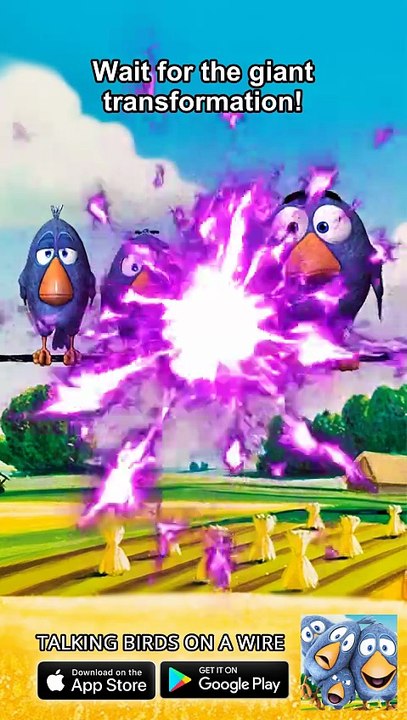 What did I just watch?! 🤯 Talking Birds On A Wire Game