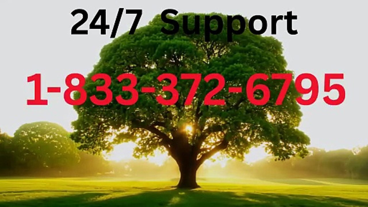 [Updated Guide] Coinbase Customer Service Phone Number & Assistance