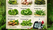 Obat herbal alami untuk turunkan gula darah yang tinggi