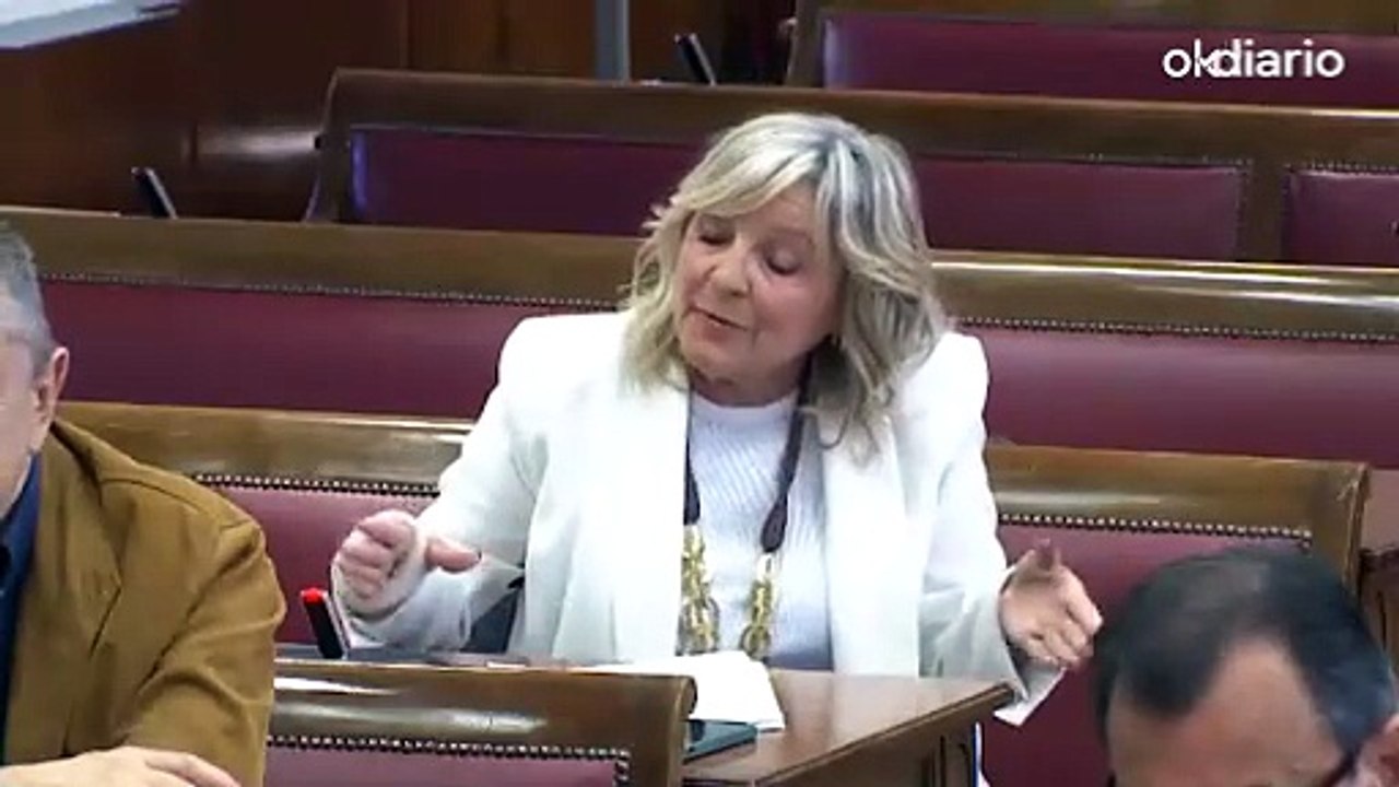 El presidente de Forestalia reconoce que el socio de Cerdán le llevó a “sedes del PSE, PNV y Bildu”