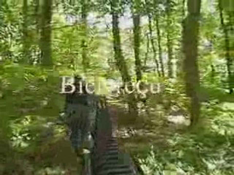 New - JRAM CLIP