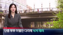[단독]단종 부부 이별한 청계천 영도교에 낙서 테러