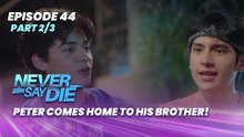 Never Say Die: Peter comes home to his brother! (Episode 44 - Part 2/3)