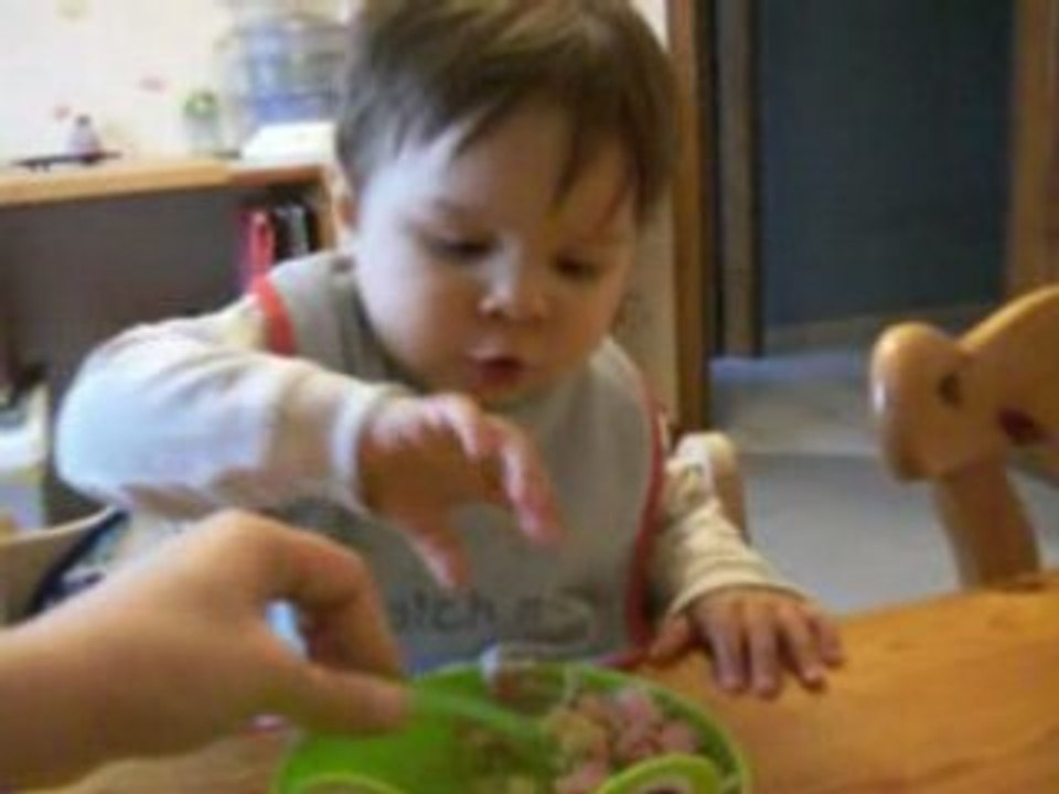 Noah juin 2008