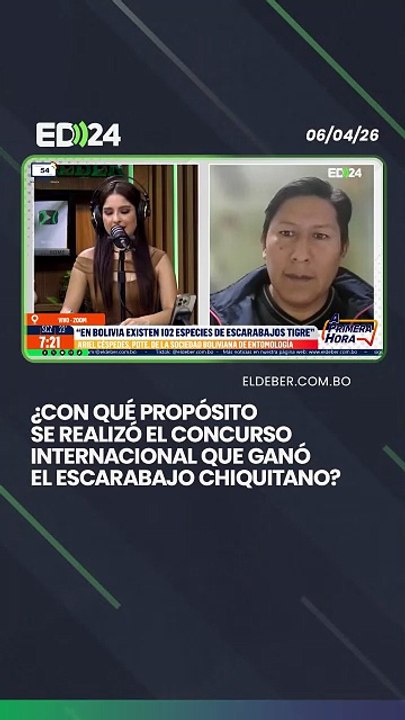 ¿Con qué propósito se realizó el concurso internacional que ganó el escarabajo tigre chiquitano?