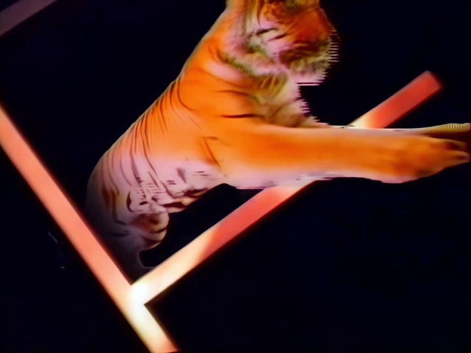 Roda de Fogo (1080p) Abertura