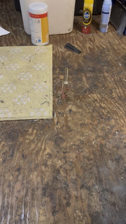 Creepy spider