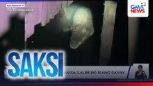 Buwaya, natagpuan sa ilalim ng isang bahay | Saksi