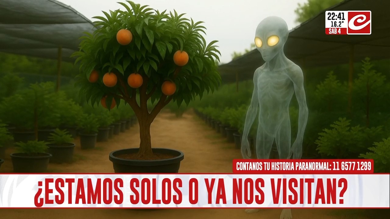 Experiencias con seres no humanos: casos escalofriantes