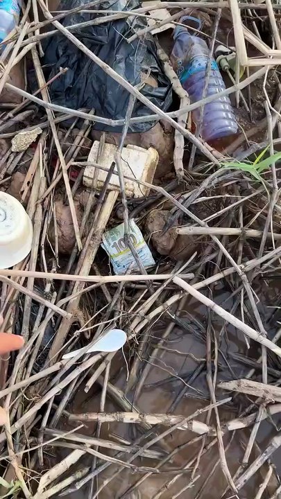 Found money  #foundmoney #dollars #cash #money #reels