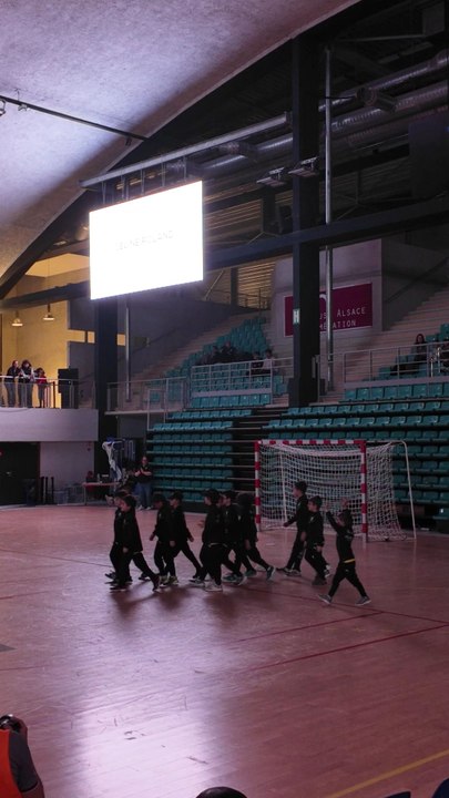 La relève 🤾‍♂️✨Présentation des équipes jeunes ASPTT Mulhouse Rixheim Handball, Lynx Mulhouse Handball, ASCO Mulhouse Handball, l'Entente Mulhousienne et l'école d'arbitrage des loups.Présentation à la mi-temps du match Rixheim vs Molsheim.
