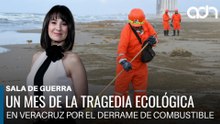 Un mes de la tragedia ecológica en el Golfo de México por derrame de combustible | Sala de Guerra
