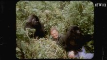 A História de um Gorila: Com David Attenborough Trailer Oficial