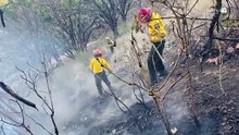 Incendio en Bosque La Primavera fue controlado