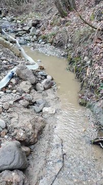 The River Gold Prospecting Process