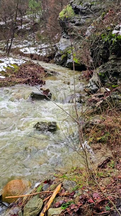 Gold prospecting in the stream; I haven't seen this stream like this in a long time. 😱