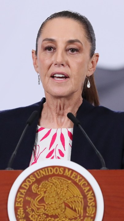 Sheinbaum recalca que la colección Gelman volverá a México