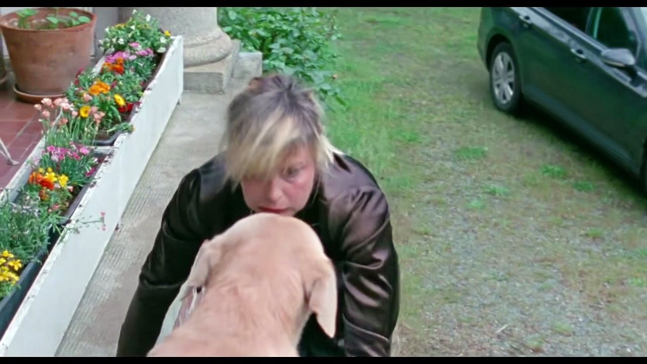 Donkey Days | Trailer | New Directors/New Films 2026