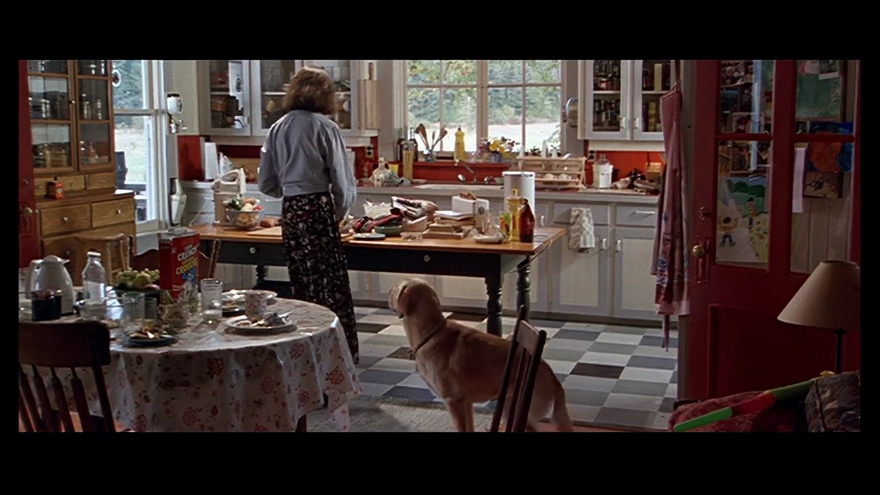 Far From Home: The Adventures of Yellow Dog - Trailer (Upscaled HD) (1995)